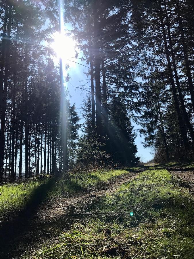 Chalet Bergliebe Brilon Kültér fotó