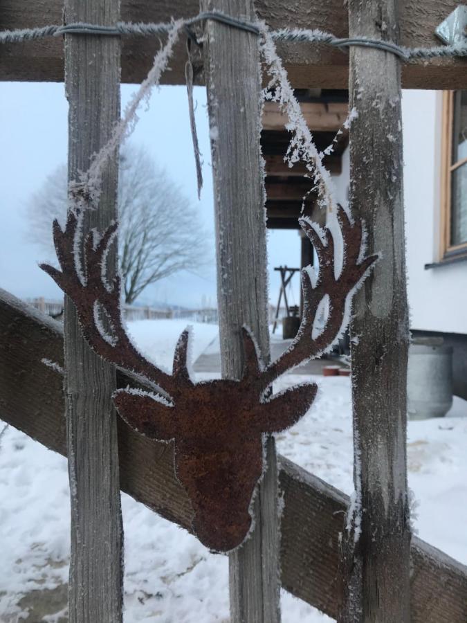Chalet Bergliebe Brilon Kültér fotó
