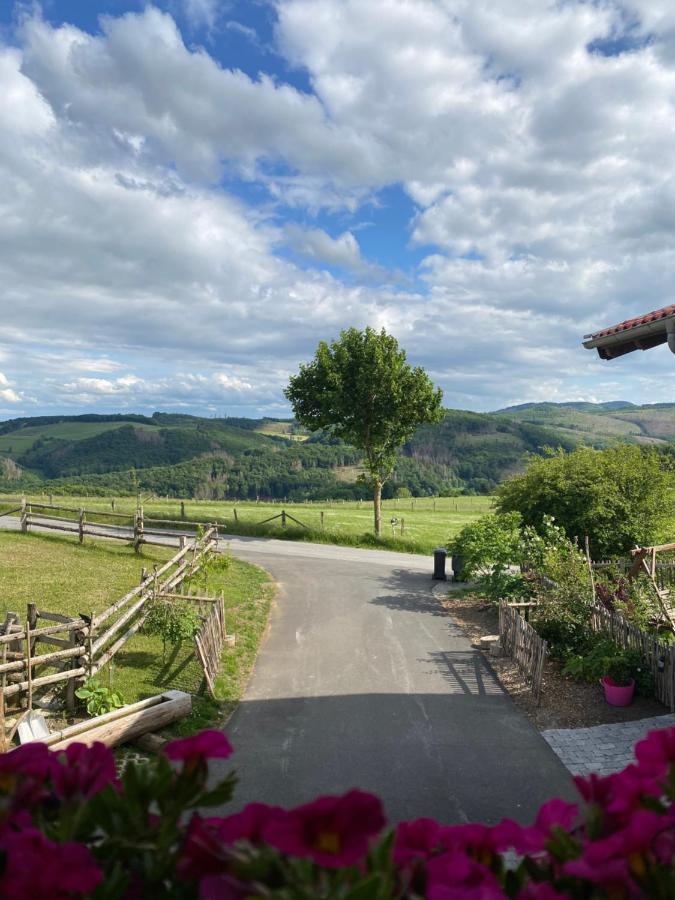 Chalet Bergliebe Brilon Kültér fotó