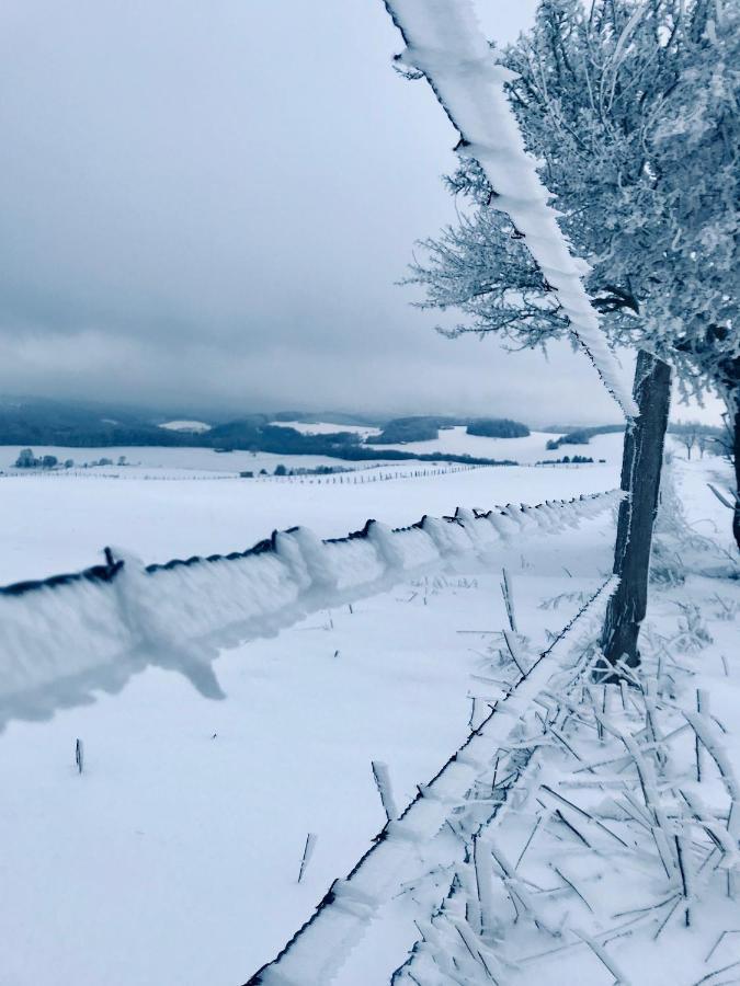 Chalet Bergliebe Brilon Kültér fotó