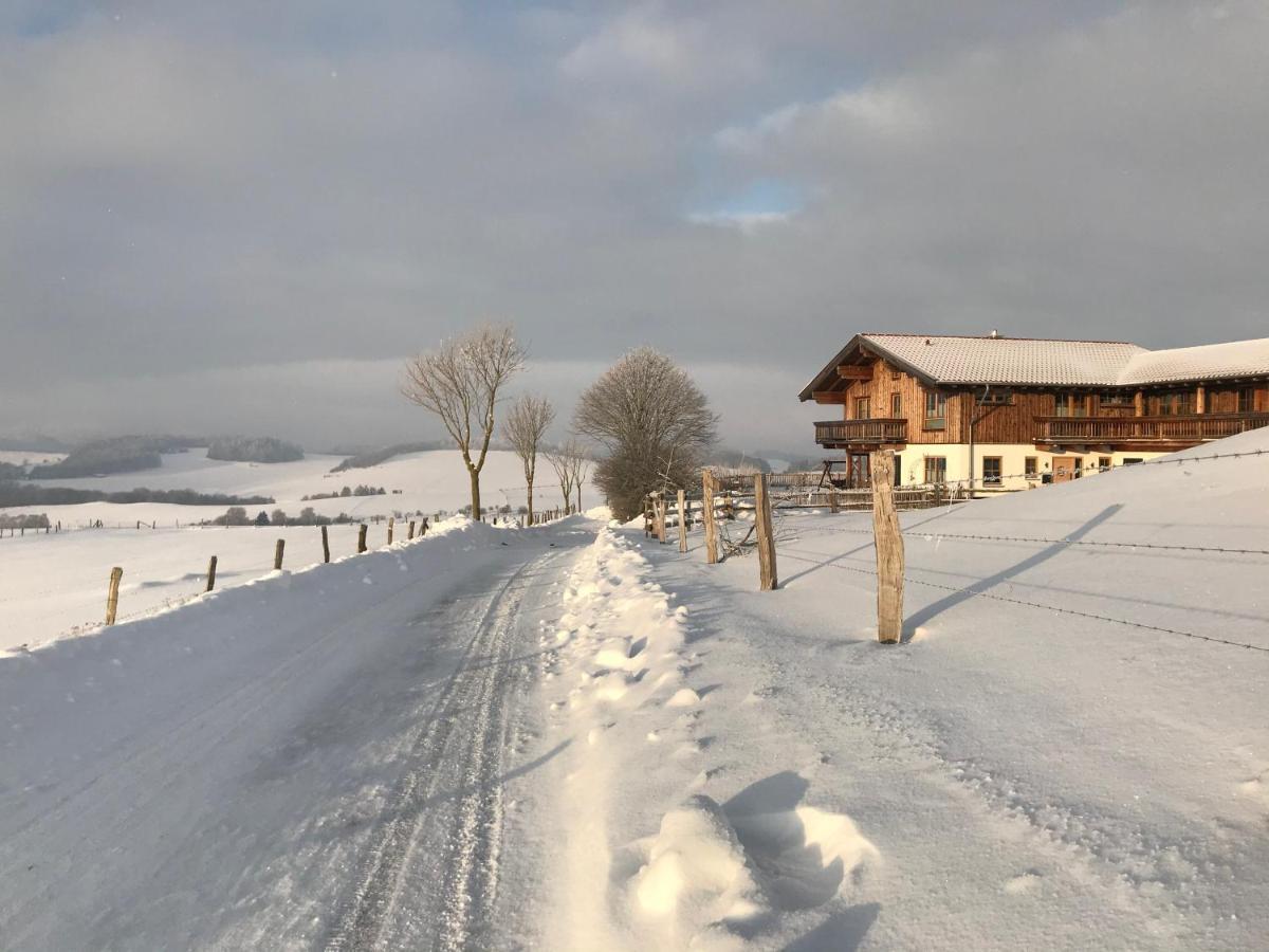 Chalet Bergliebe Brilon Kültér fotó