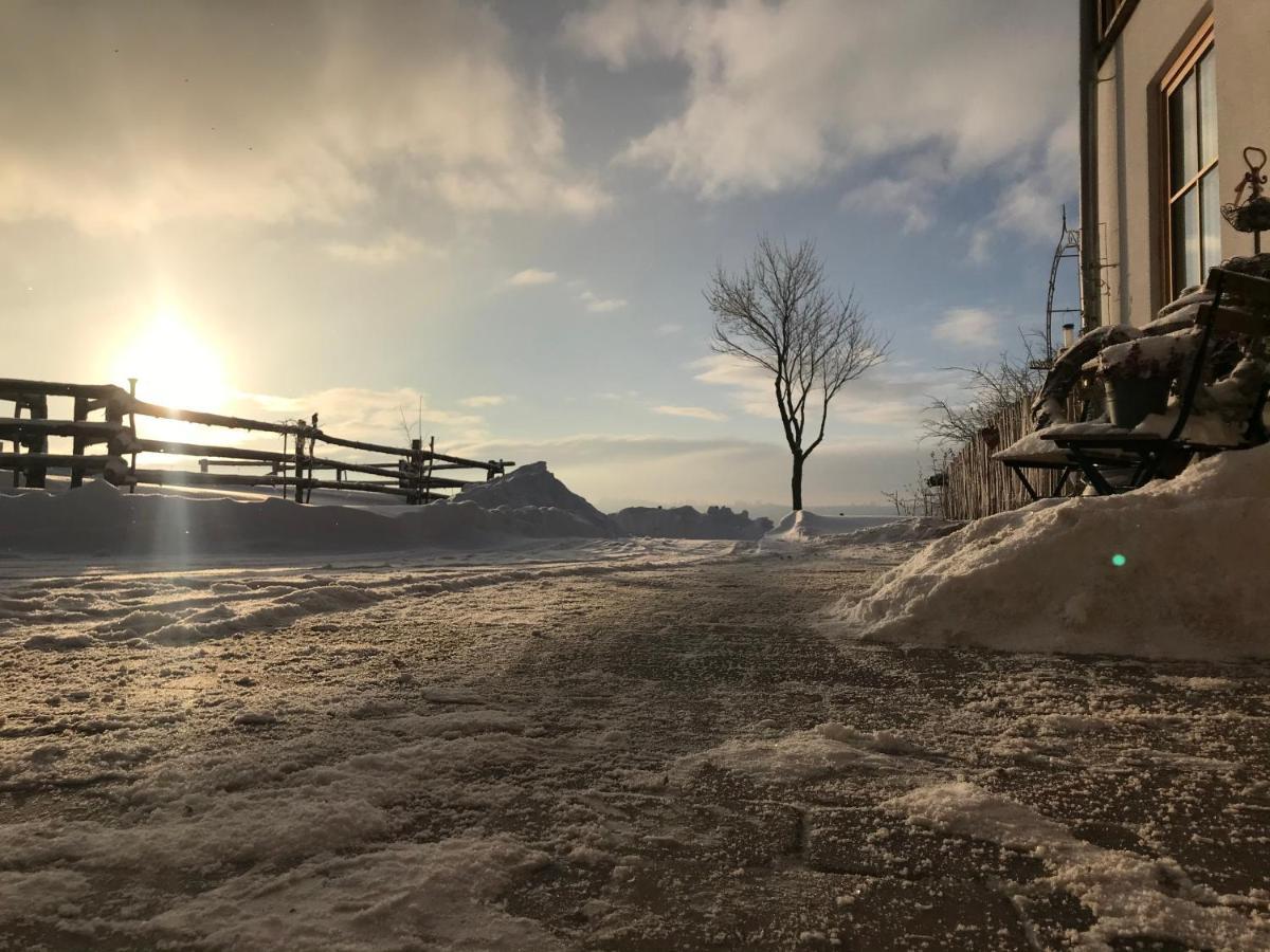 Chalet Bergliebe Brilon Kültér fotó